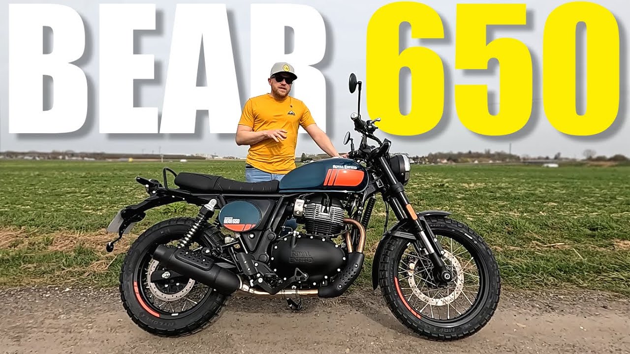 ROYAL ENFIELD Bear 650 | L'ours joyeux