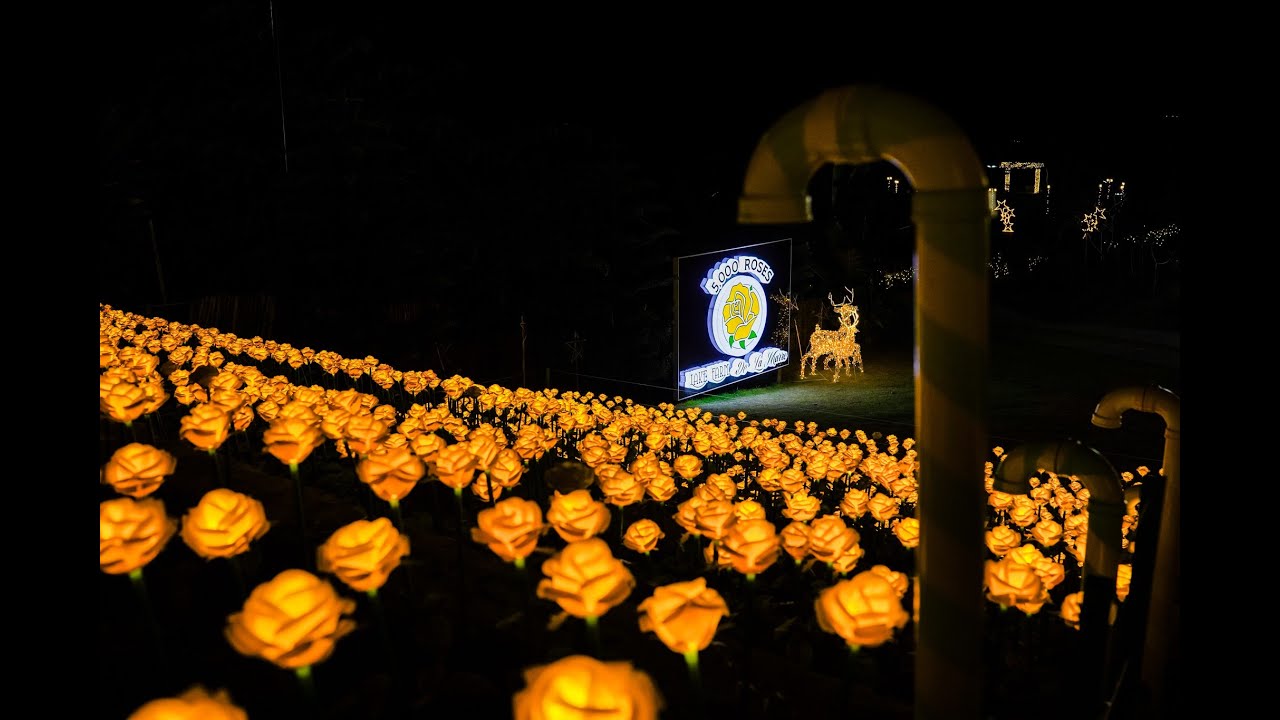 First in the North, 5000 Roses at Lake Farm de La Marre Agri Tourism Park