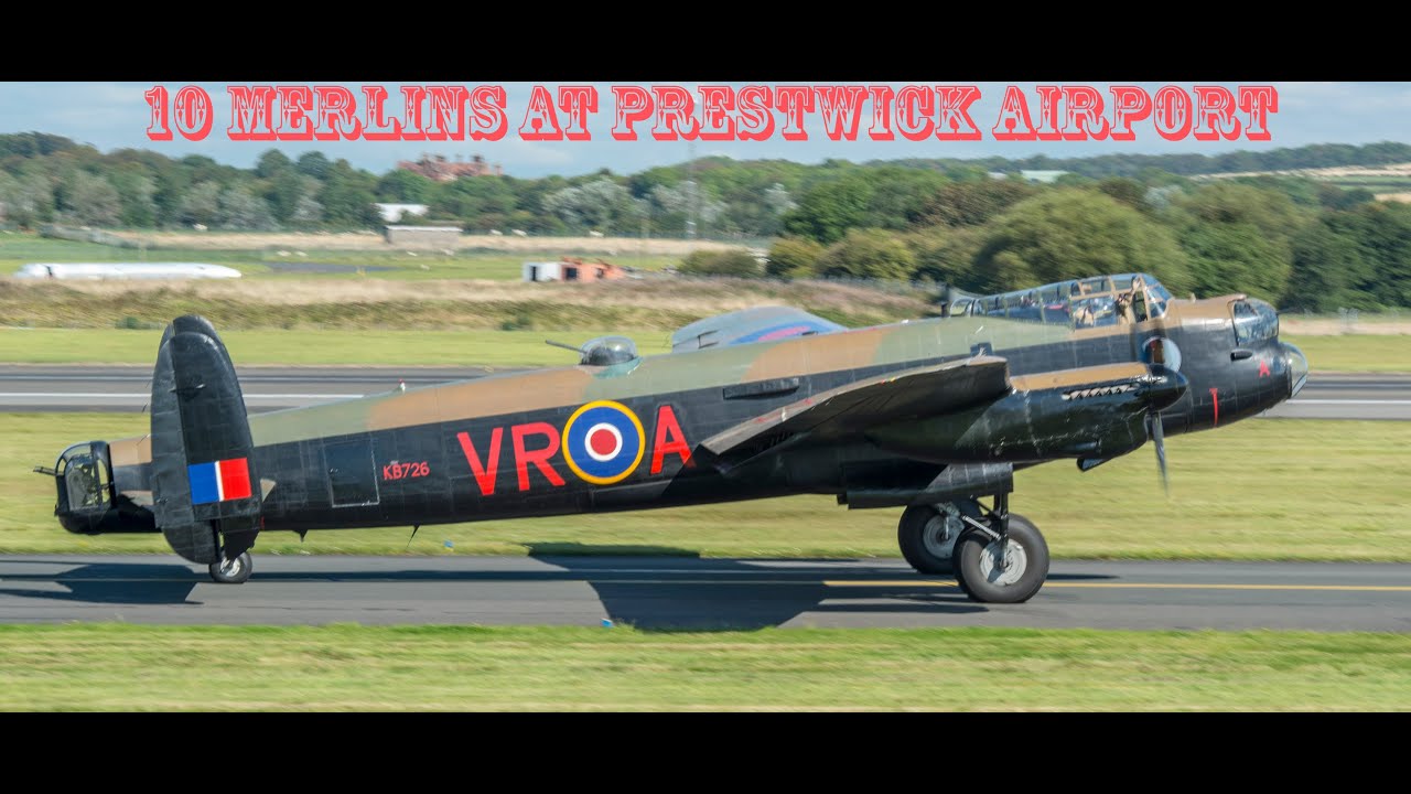 10 Merlins - VERA & Thumper & 2 spits at Glasgow Prestwick