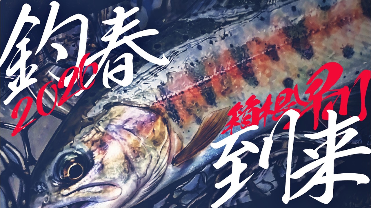 箱根早川C&R区間で初のヤマメを狙う休日