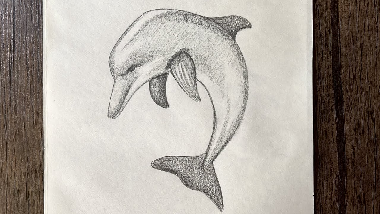 how to draw a realistic dolphin step by step. cute animal drawing | easy pencil sketch for beginners