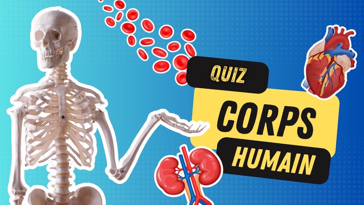 Peux-tu réussir ce quiz sur le corps humain ? 🫀​ 40 Questions Étonnantes + Bonus ! 🧠💫