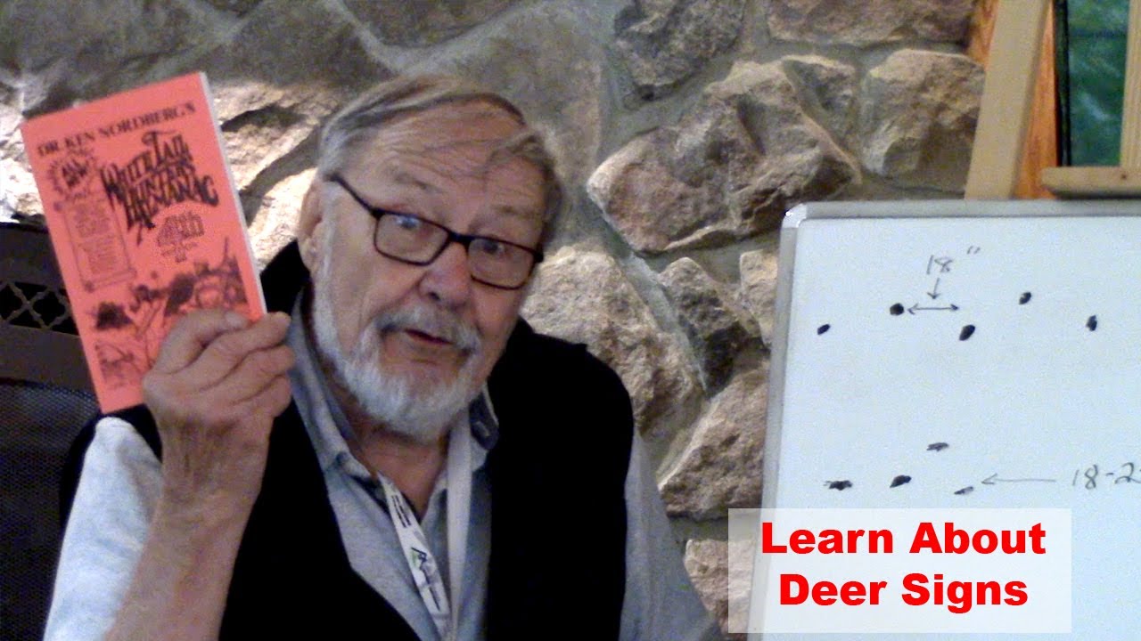 Learn About Deer Sign (Deer Hunting)