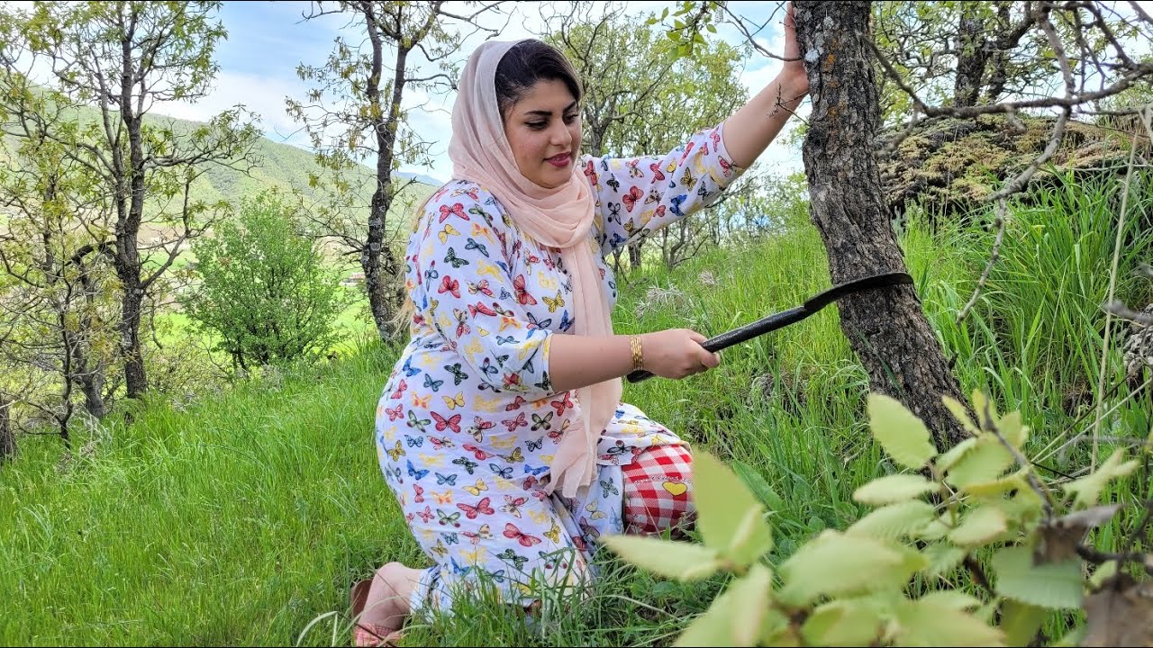 Life in the mountains of Iran | Collecting firewood in the village of Iran
