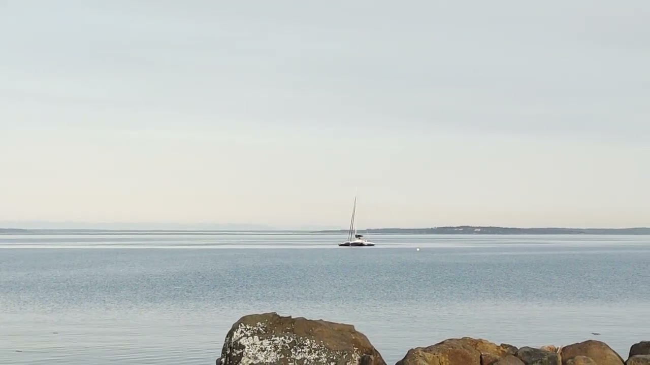 A Few Sailors Anchor Up For 4th Of July