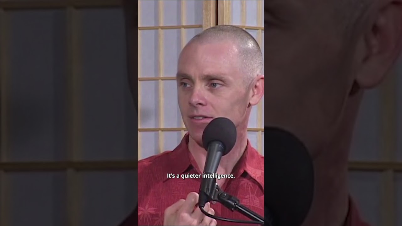 Divine Intelligence #adyashanti #opengatesangha #spiritualawakening #divineguidance