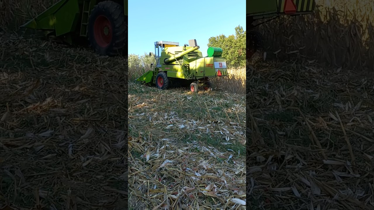Claas mercator,vrsaj kukuruza Jajčić!