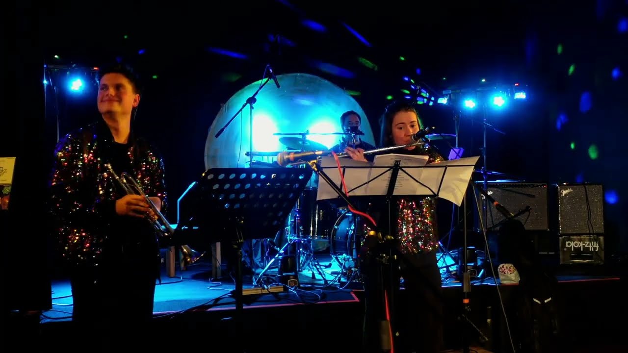 THE SALMONS @ABC-Kultur