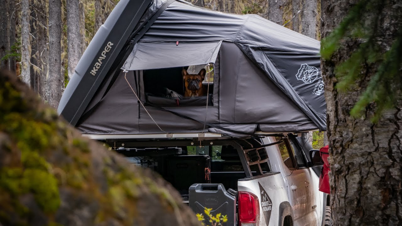 Exploring Around Snoqualmie Pass - New Adventure with Stanley  | Conquest Overland