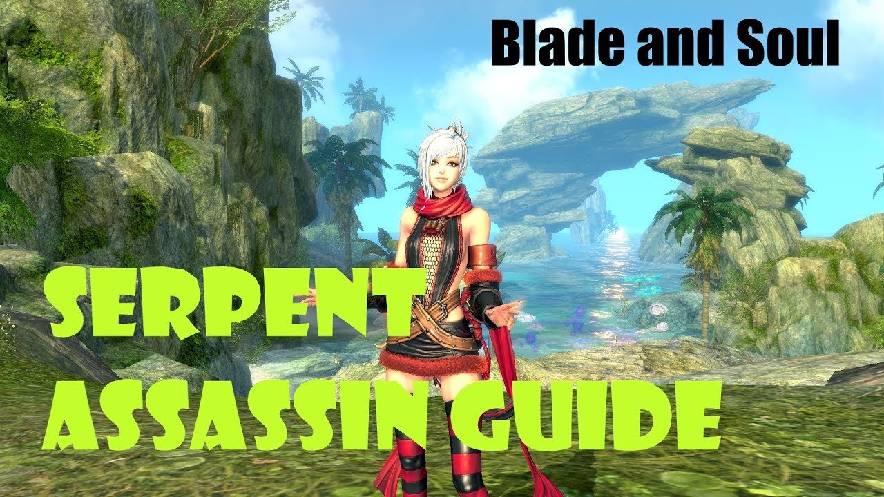 [Blade and Soul] Serpent Assassin Build and Rotation Guide!