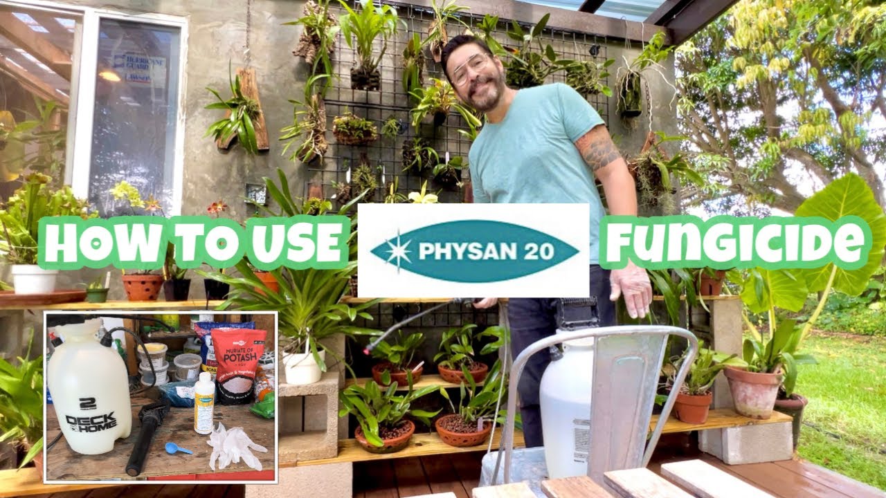 Physan 20 fungicide tutorial for your orchids, plus educational tips for healthier growing.