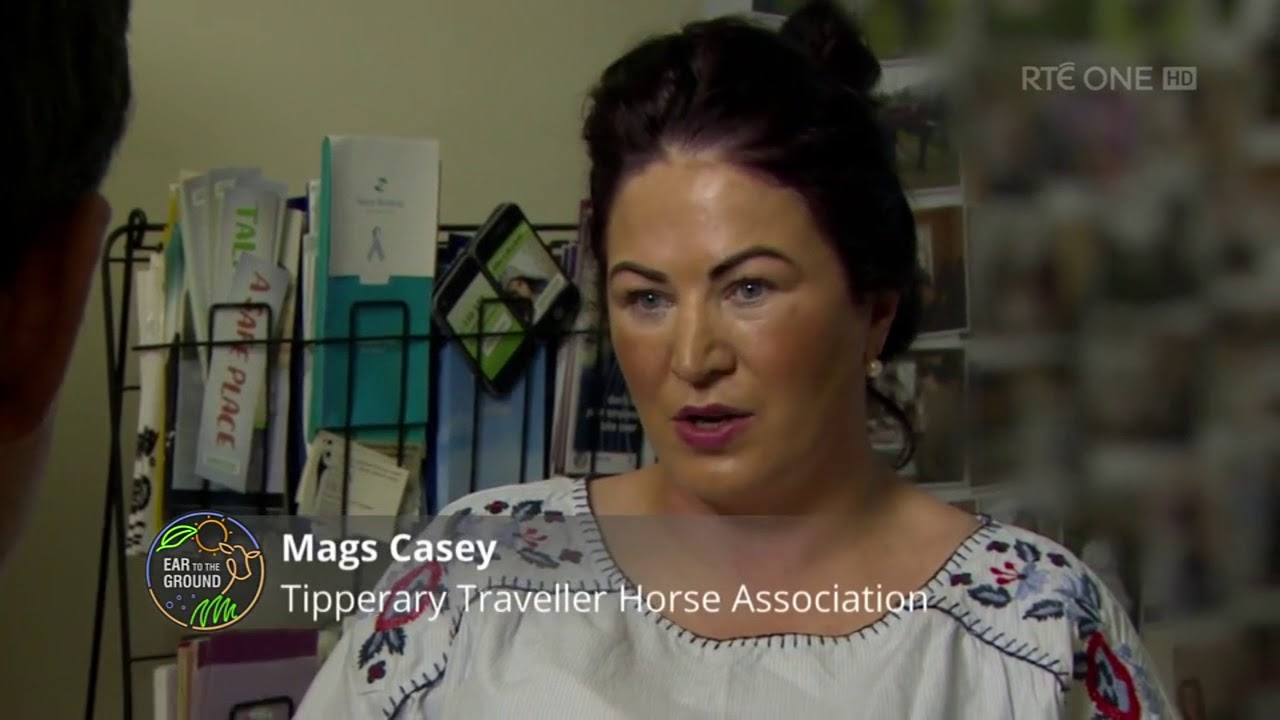 RTÉ One Ear to the Ground Knocklofty horses