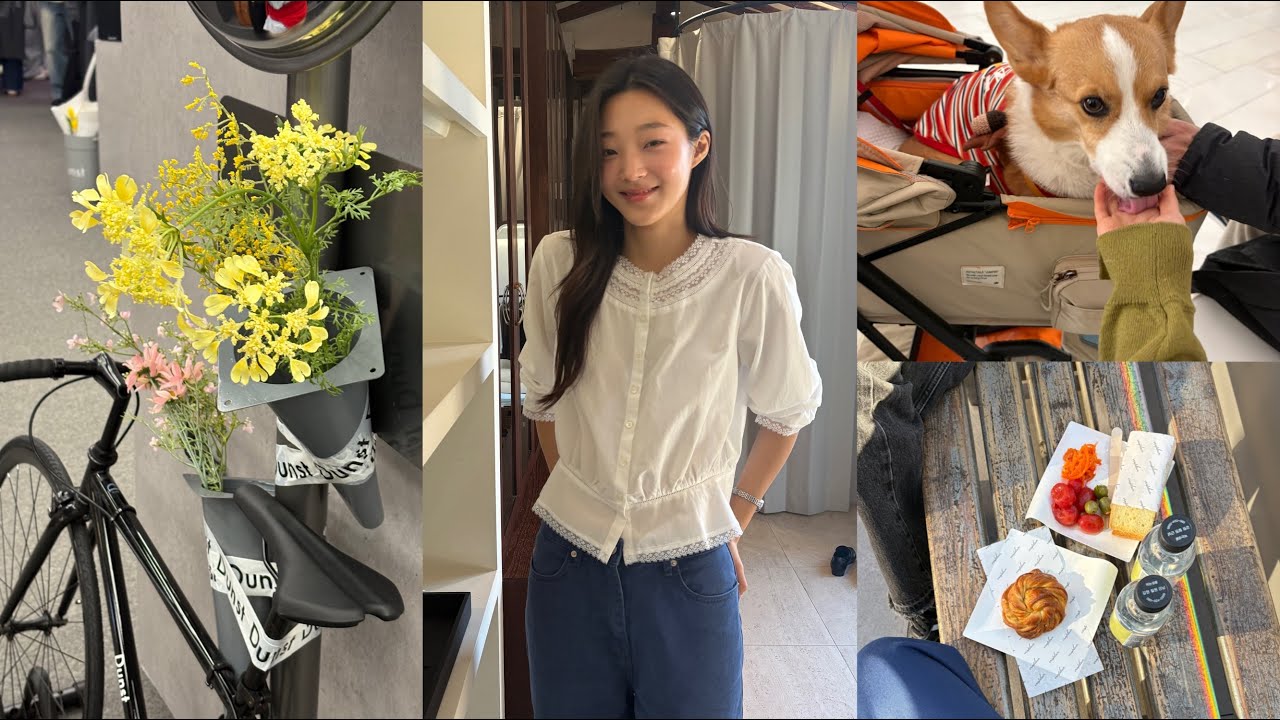 오들리워크샵. 던스트. 호와스. 벳우먼. 비아플레인 팝업 돌아다니기👚