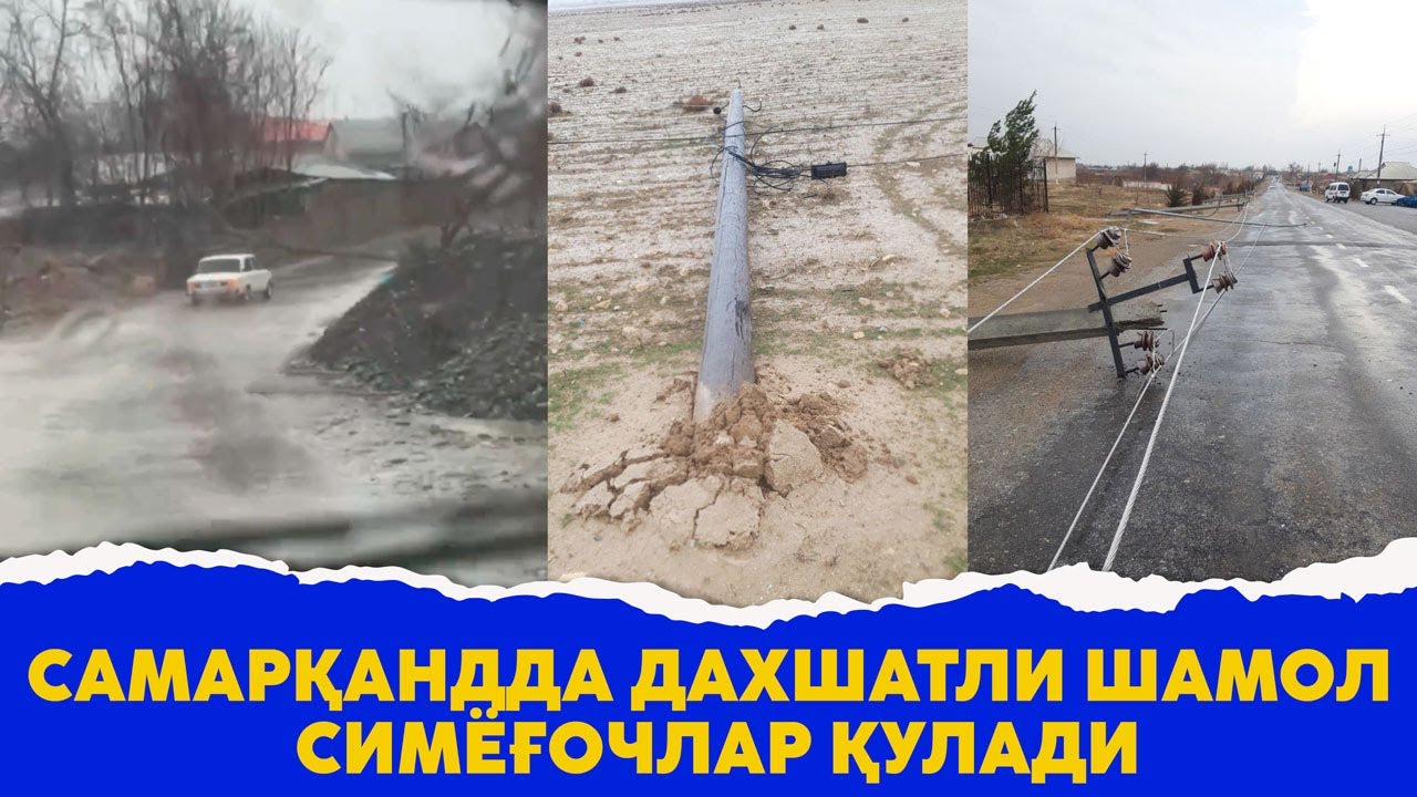 Самаркандда кучли шамол булди