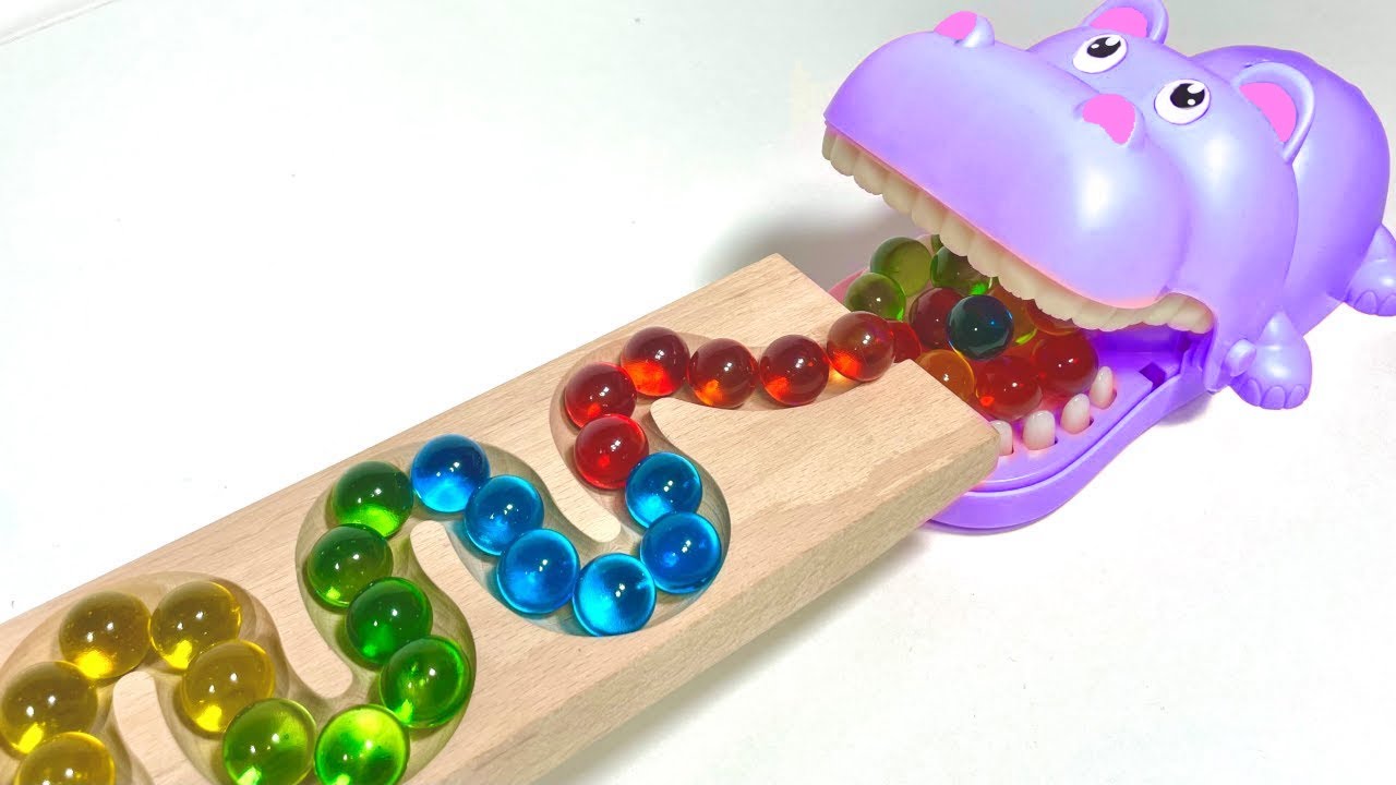 Marble Run Race ☆ HABA Wave Slope & Crocodile & Dolphin & ASMR