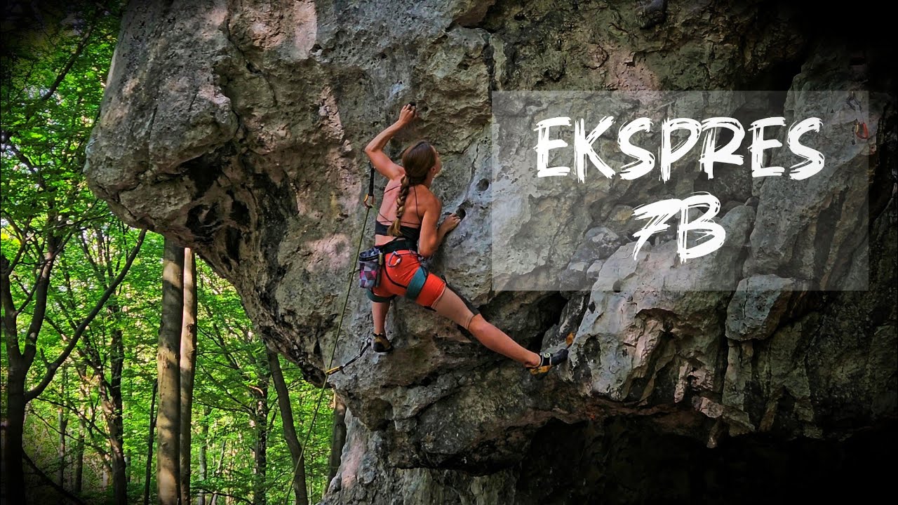 Życiówka - Ekspres 7b, Biały Pies