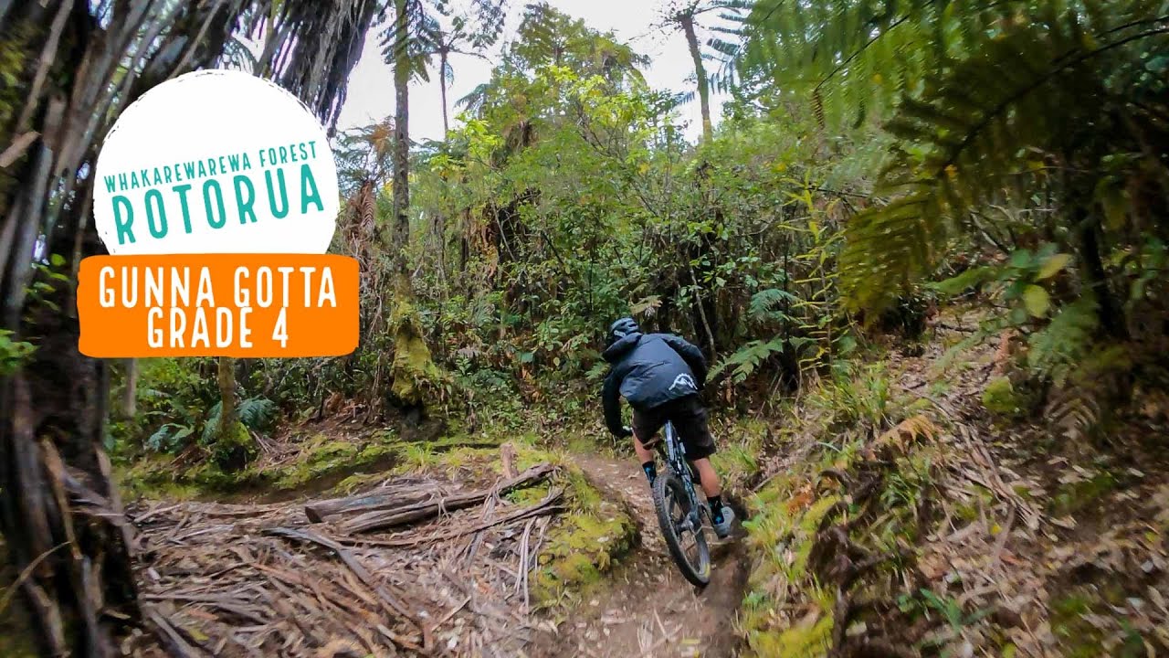 The perfect intro to tech - Gunna Gotta, Rotorua