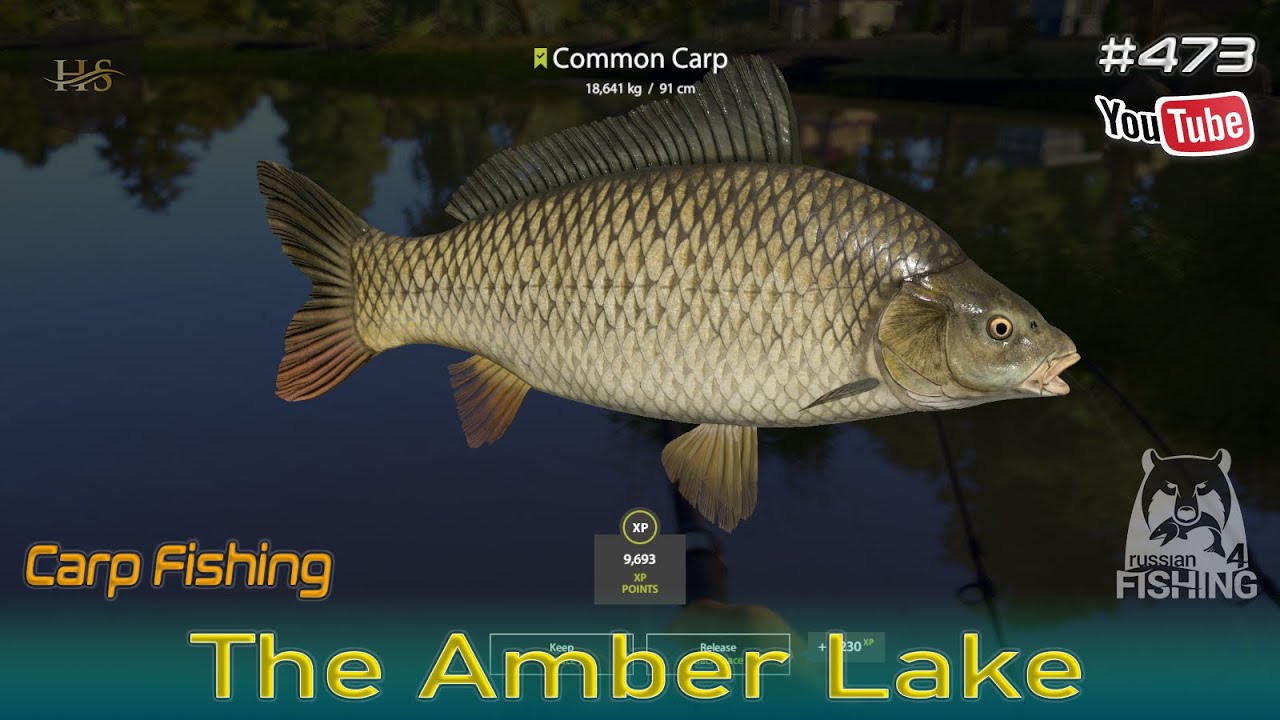 Russian Fishing 4 - EN|DE|FR|ESP|RU - The Amber Lake - Carp Fishing