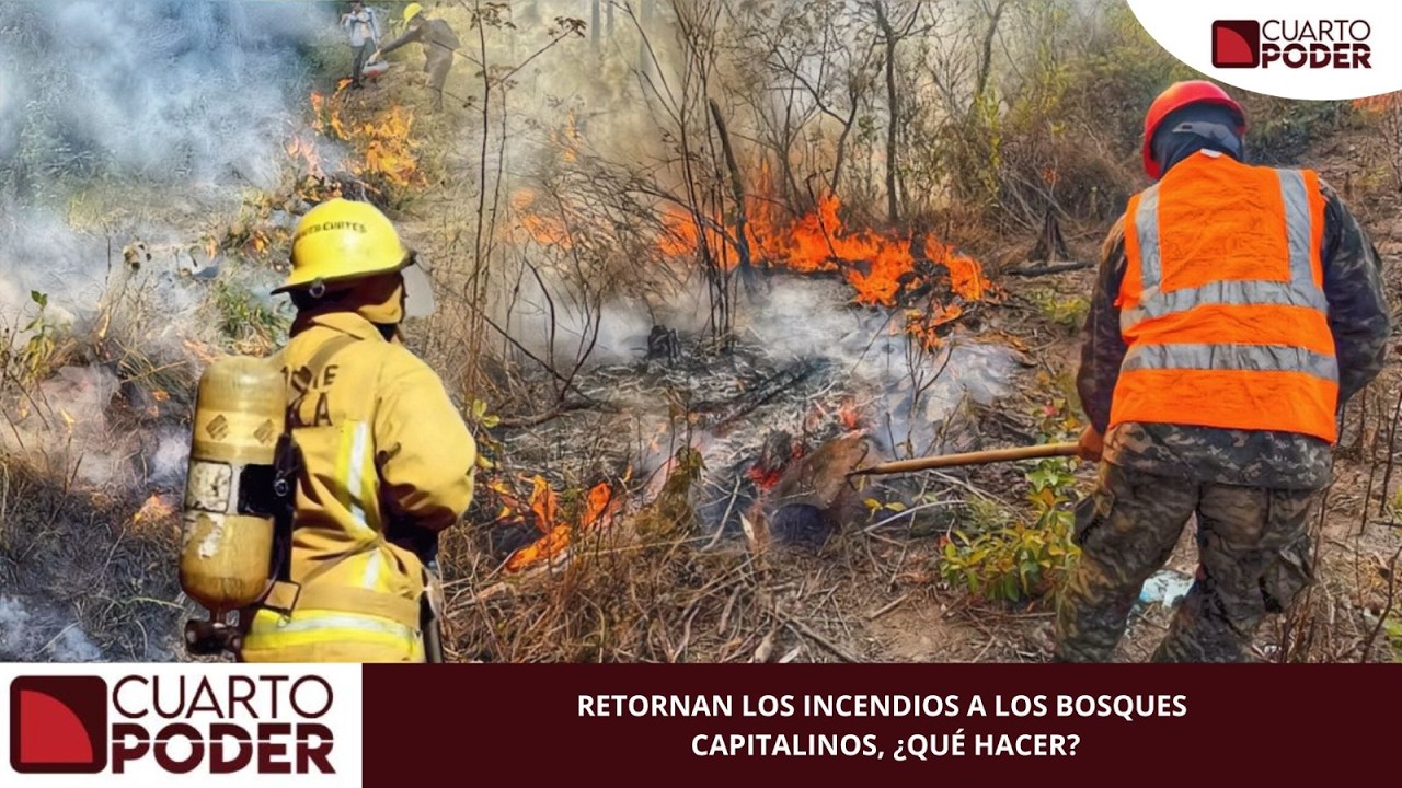 CUARTO PODER JUEVES 12 DE MARZO 2026