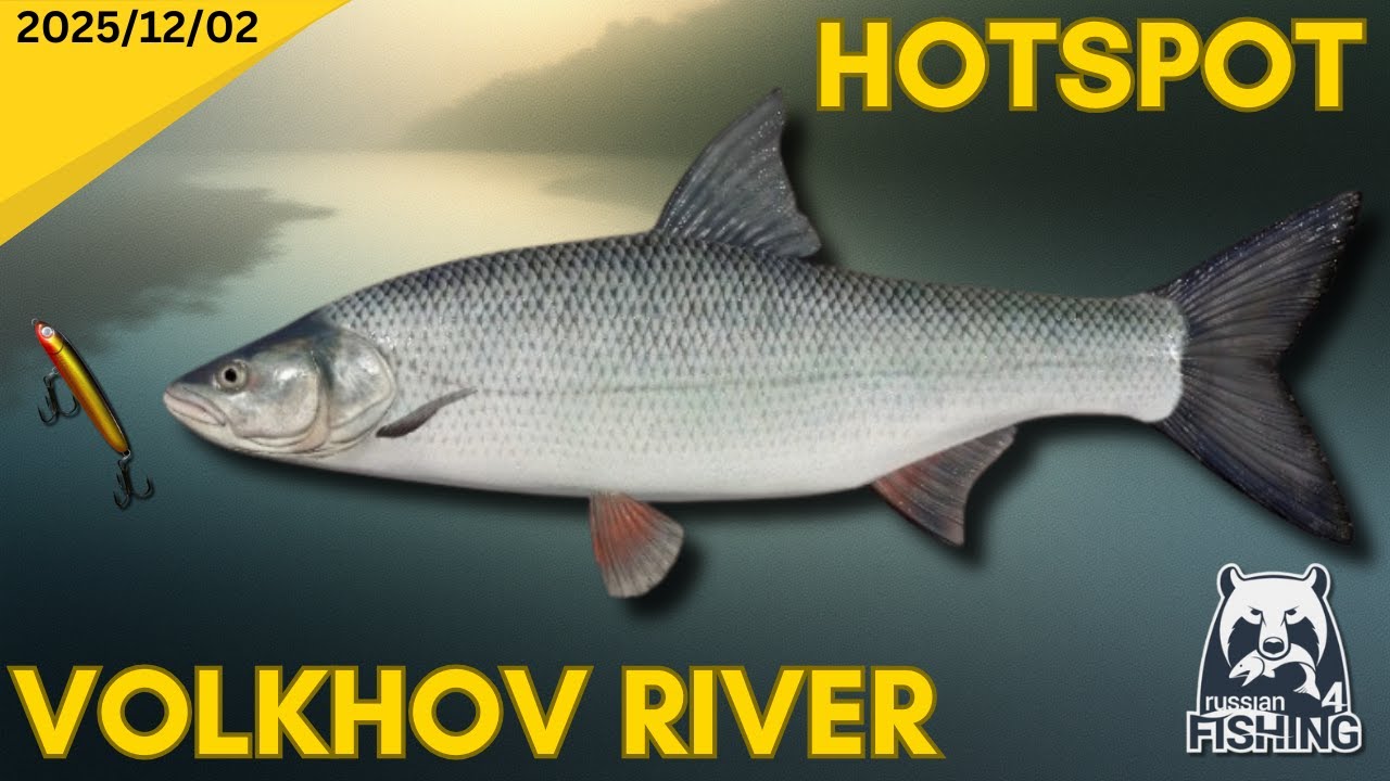 Volkhov River Asp Hotspot - Russian Fishing 4