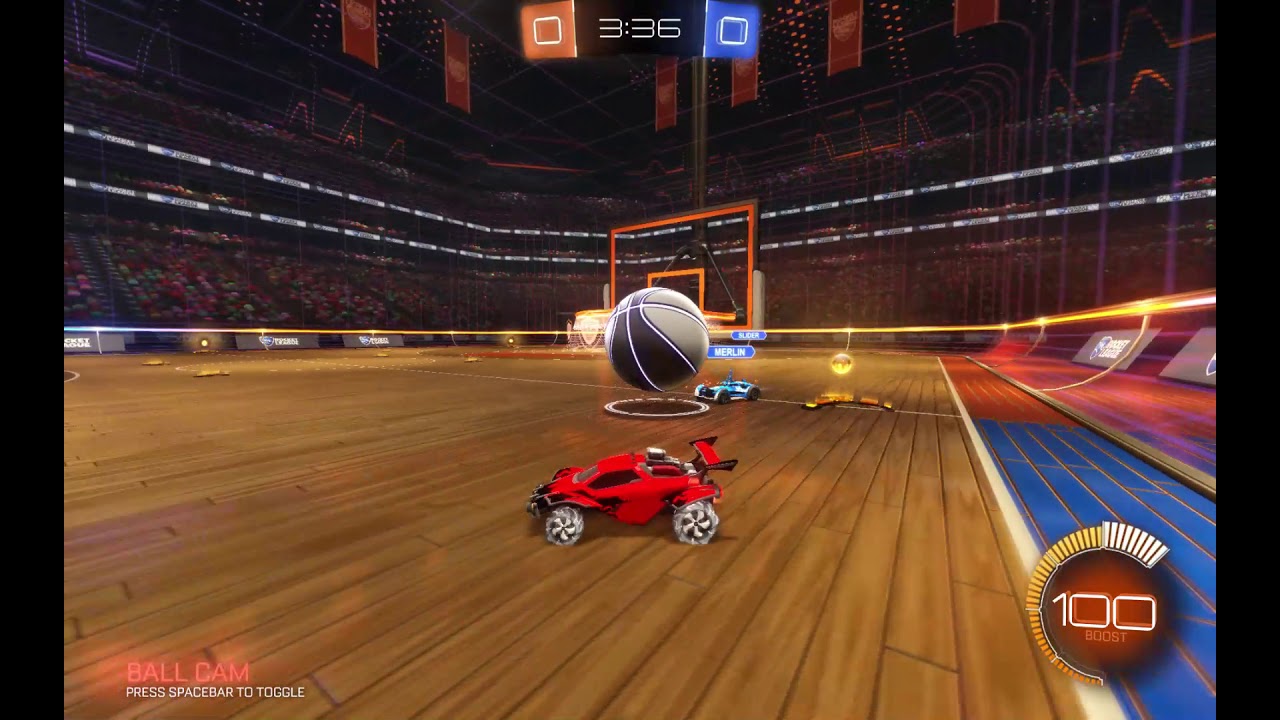 hygge med hundemand 2021