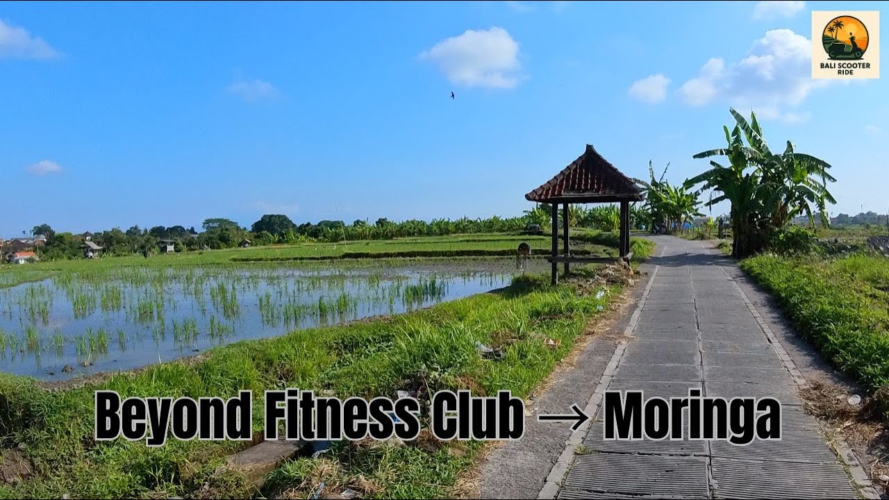 Bali Scooter Ride | BYND to Moringa Cafe (Canggu POV, morning, 8:40am, 14 October 2025)