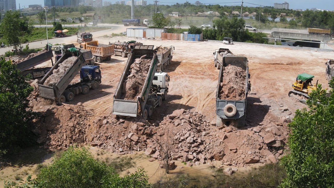 Interesting Wood Clearing Project Team Bulldozers Ft Dump Trucks 25T Filling Big Land Area