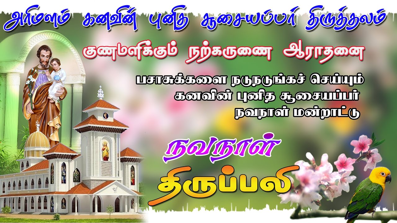 🔴 LIVE✠19 Jan 26 கனவின் புனித சூசையப்பர் குணமளிக்கும் நற்கருணை ஆராதனை நவநாள் திருப்பலி @arimalam