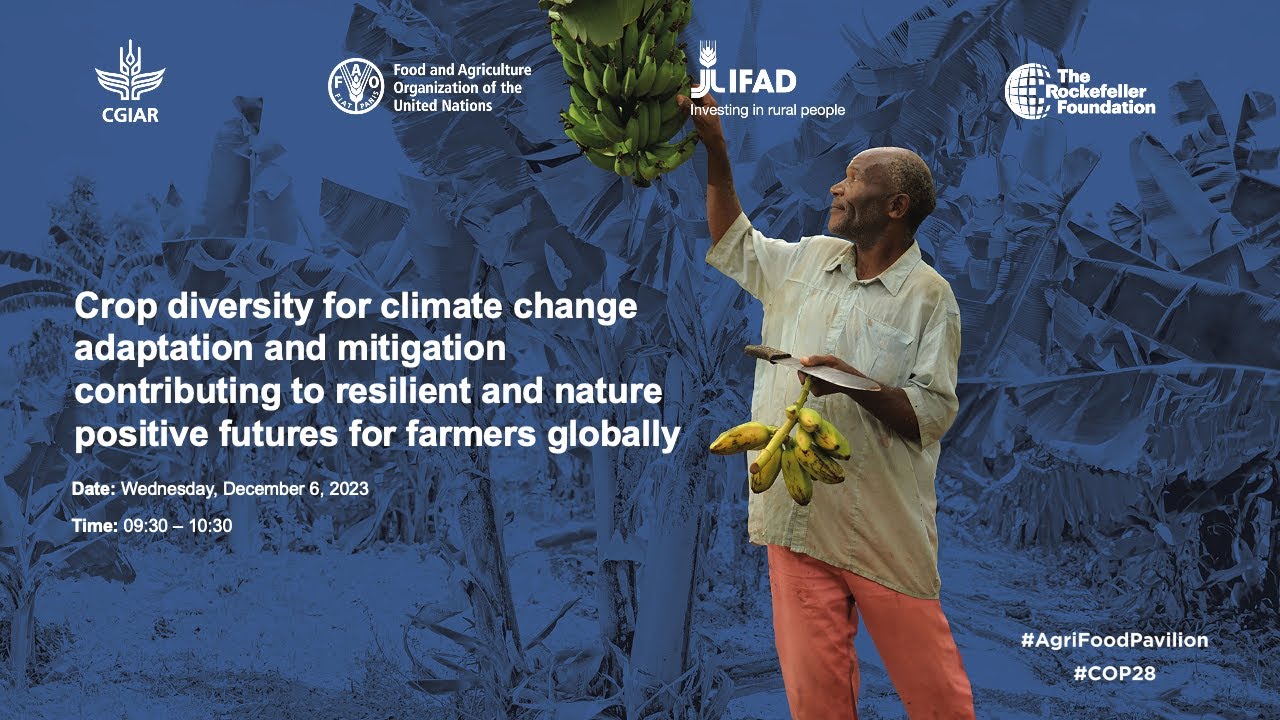 Crop diversity for climate change adaptation & mitigation for farmers globally