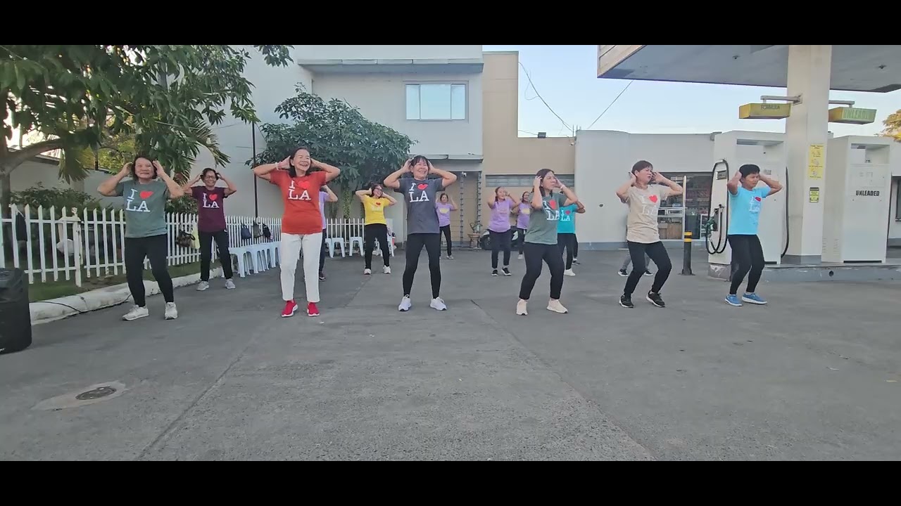Malasin zumba ladies