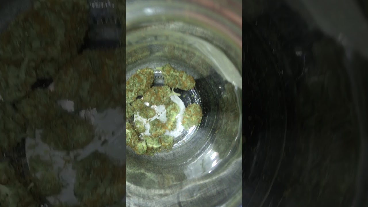 Giixer 1000w First Run - Finished Bud Shot (Sour Diesel)