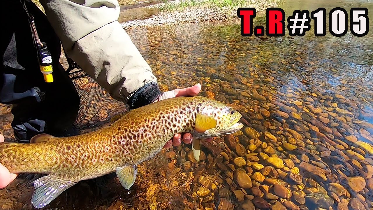 MI PRIMER DIA DE PESCA DE TRUCHAS 2021