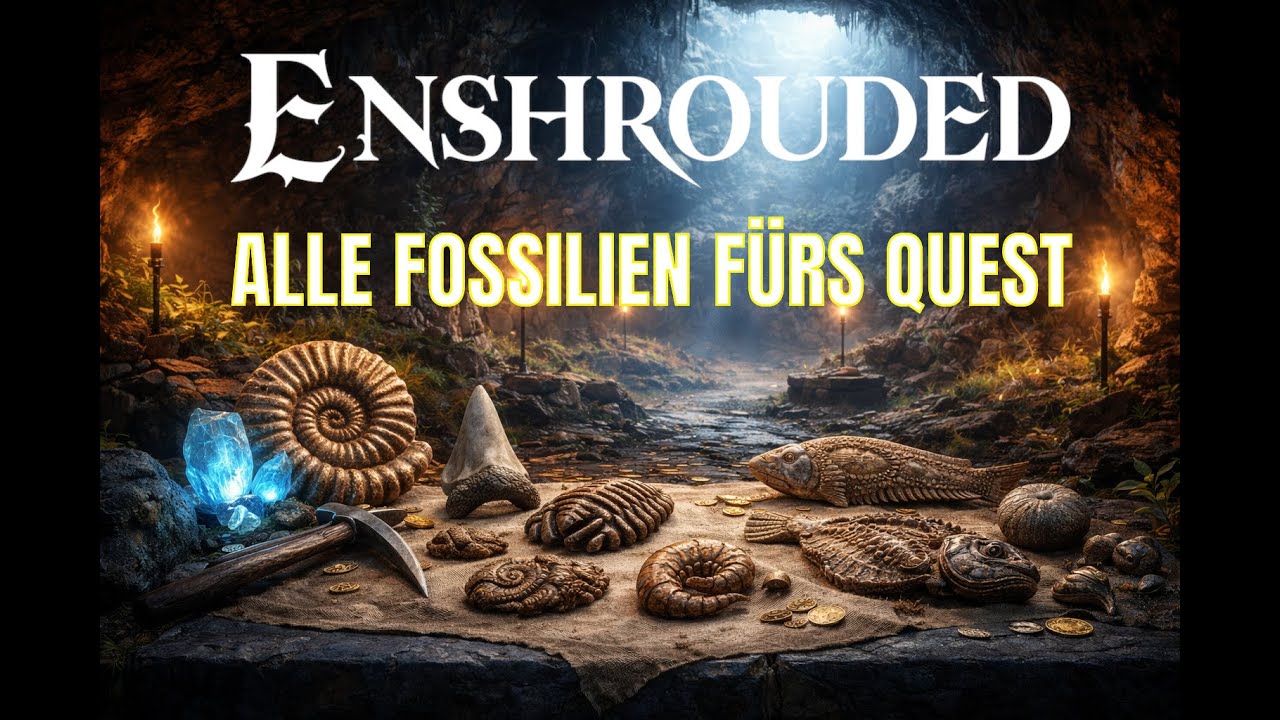 Quest ‚Fossilien finden‘ direkt abschließen & alle Fossilien sichern | Enshrouded Guide