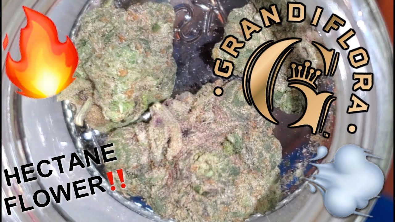 GRANDIFLORA HECTANE FLOWER | REVIEW | GASSSSS!! |