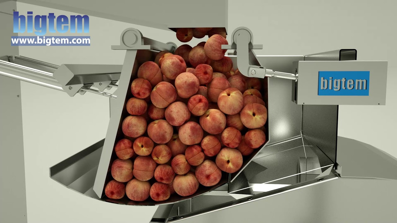 GENTLE STEAM PEELER ANIMATION