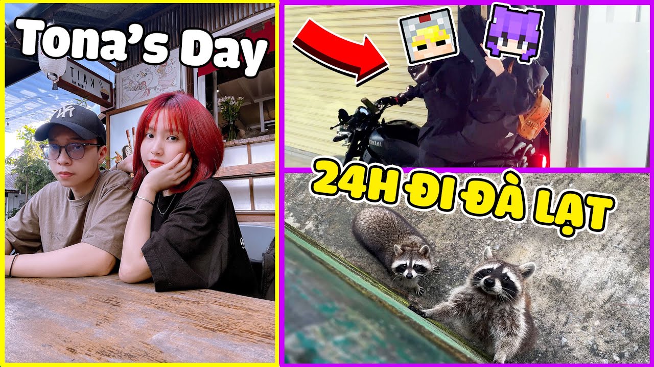 NABEE VÀ TOGA THỬ THÁCH 24H ĐI PHƯỢT XUYÊN ĐÀ LẠT CÙNG SINH TỐ TEAM - TONA'S DAY | Nabee TV