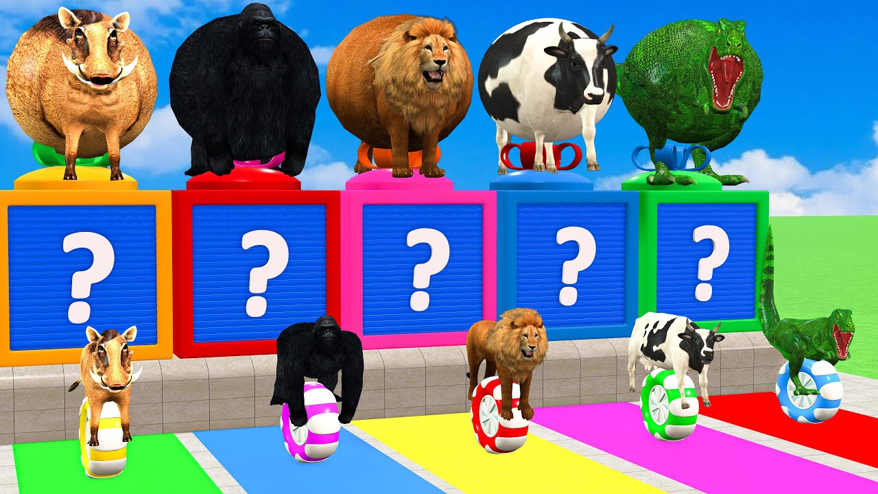 Long Slide Game With Elephant Gorilla Buffalo Hippopotamus Tiger - 3d Animal Game - Funny 3d Animals