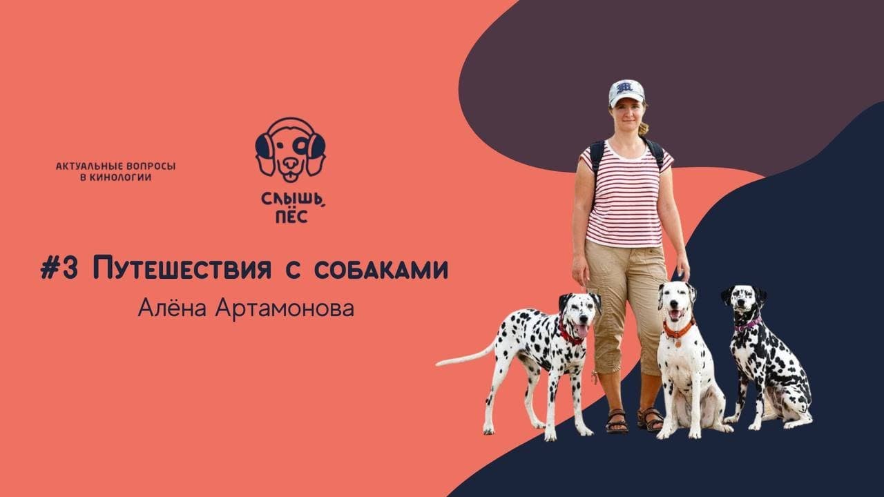 Подкаст Слышь, пёс #3 Путешествия с собакой