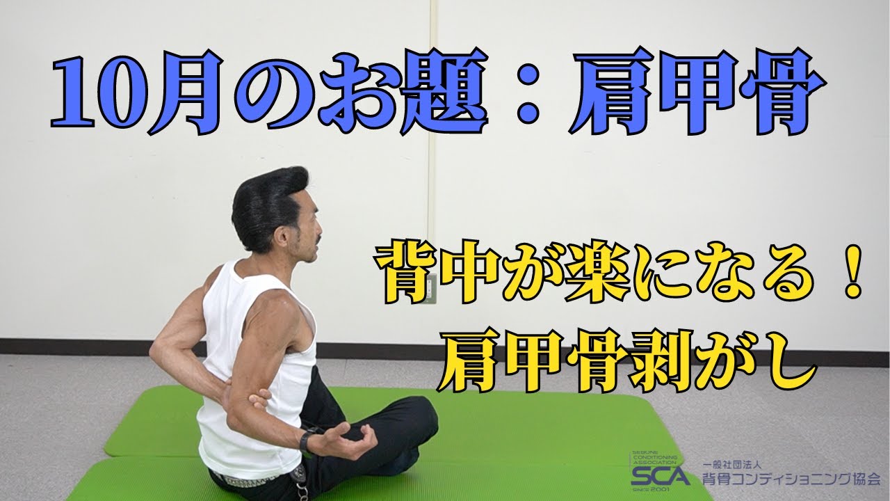 【背中】2023年10月のお題「肩甲骨」背中がすごく楽になる！