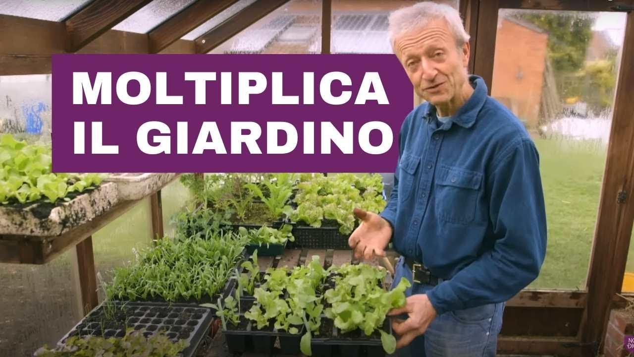 Moltiplica il Tuo Raccolto! Segreti per Germinare, Coltivare e Piantare per una Stagione Più Lunga