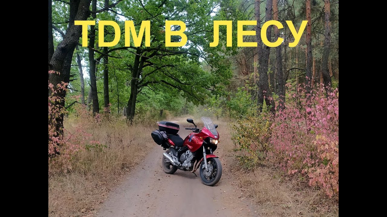 🏍 На TDM 850 по лесу 🏍