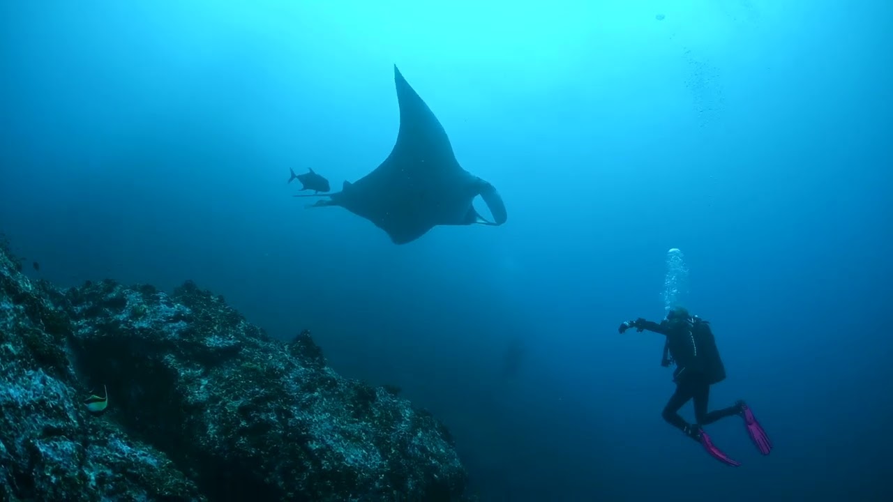 Cocos Island V2