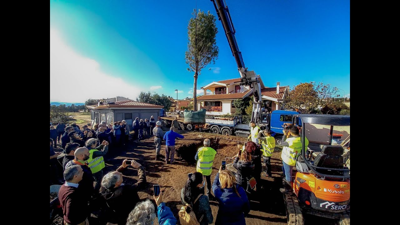 Il Pino di Grazia Deledda | Piantumazione del nuovo Pino simbolo di rinascita