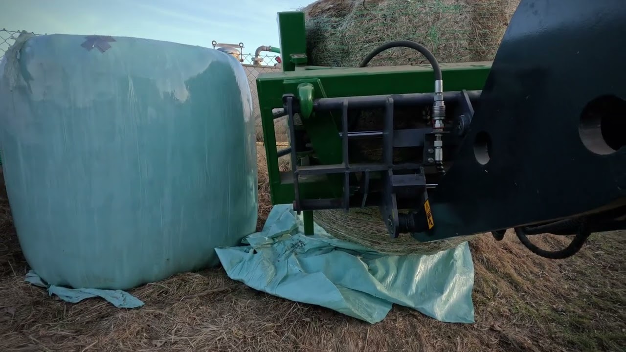 Füttern unserer Kühe mit #Toyo 836