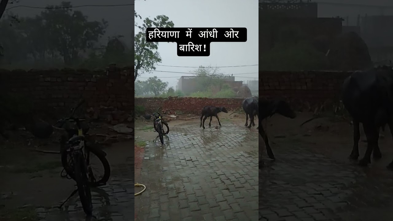 Just now weather update?