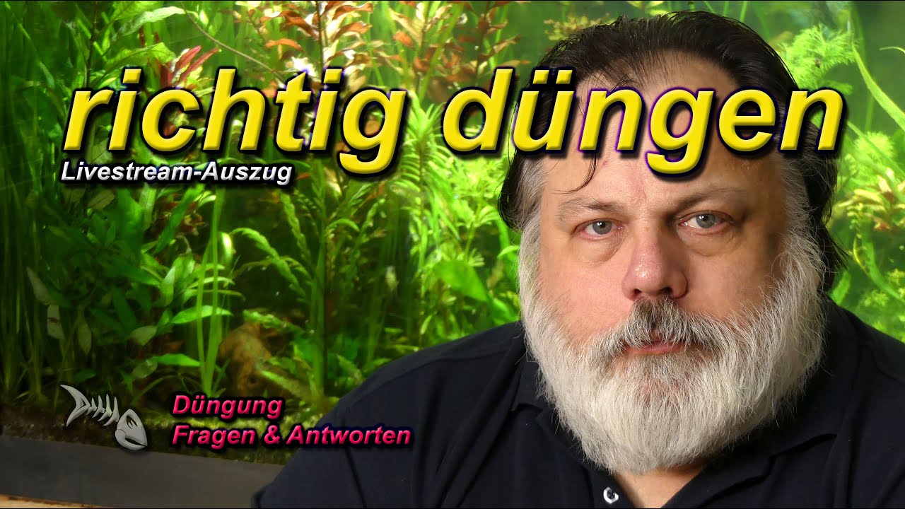D&Uuml;NGUNG IM AQUARIUM - Wie d&uuml;nge ich richtig?