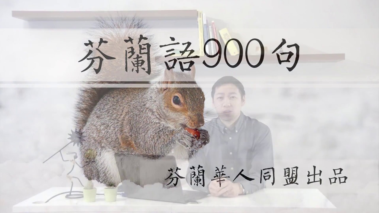 芬兰语900句—第三课 购物