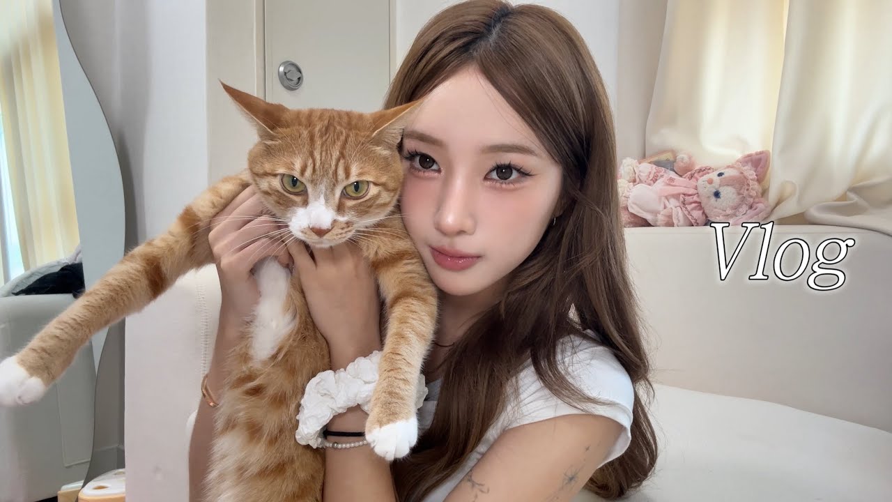 드디어 돌아온 한국 일상 vlog &bull;&bull;🪽