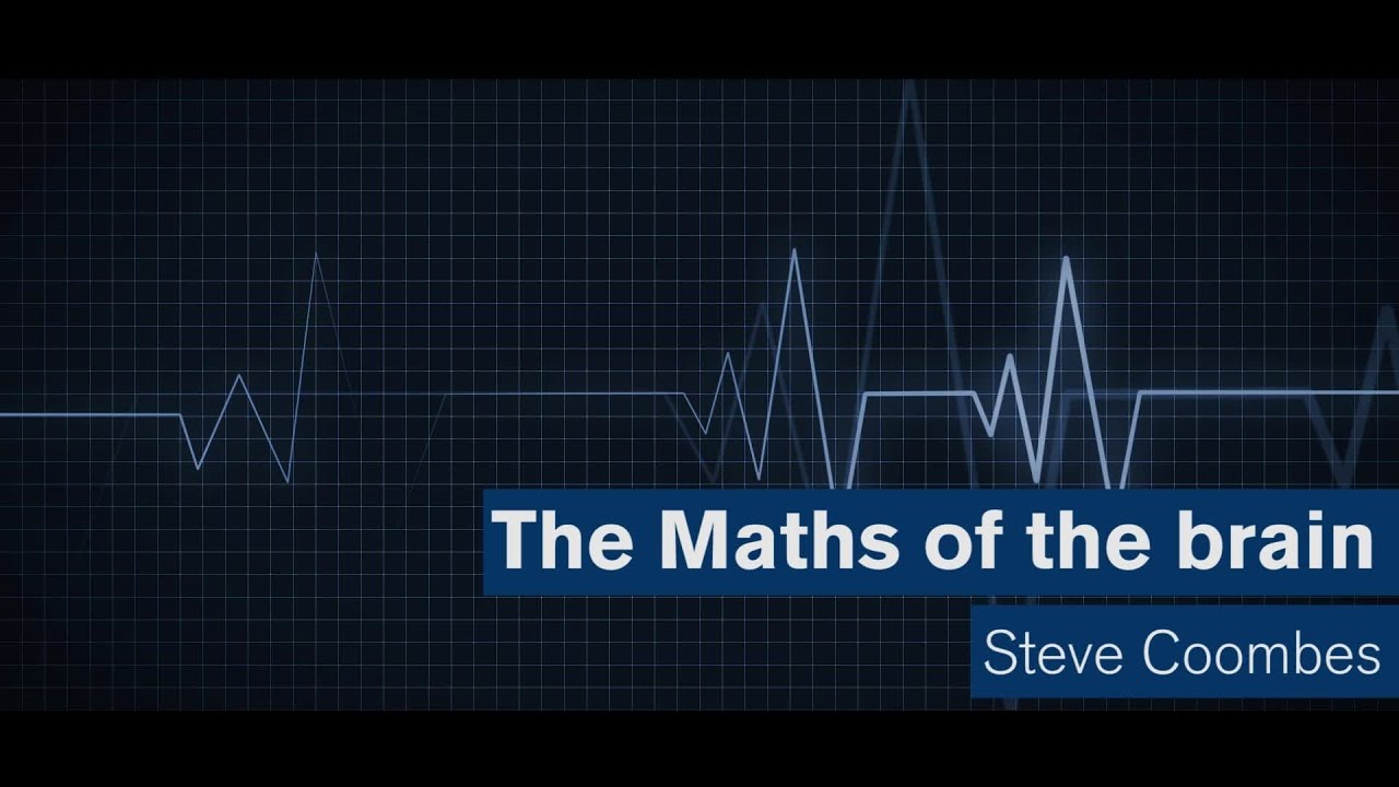 Maths Matters: The maths of the brain