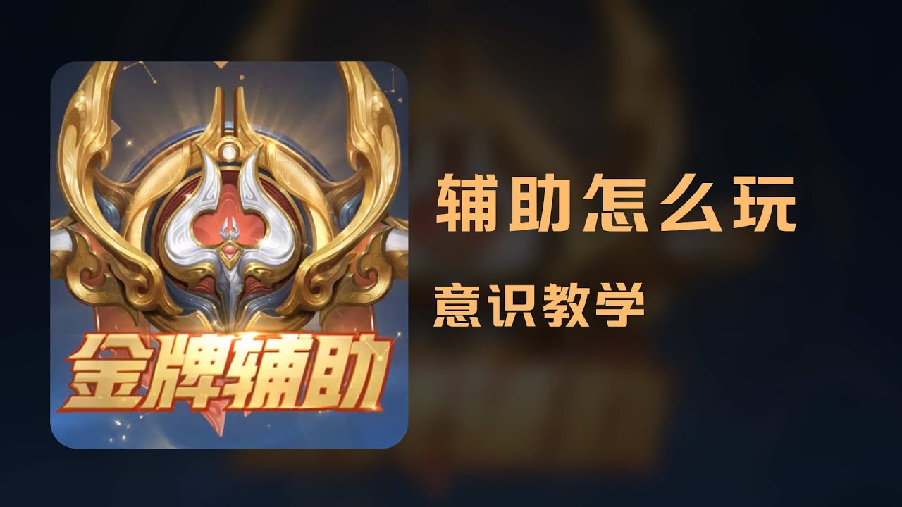 怎么玩好辅助？一期视频理清楚【金牌辅助教学】